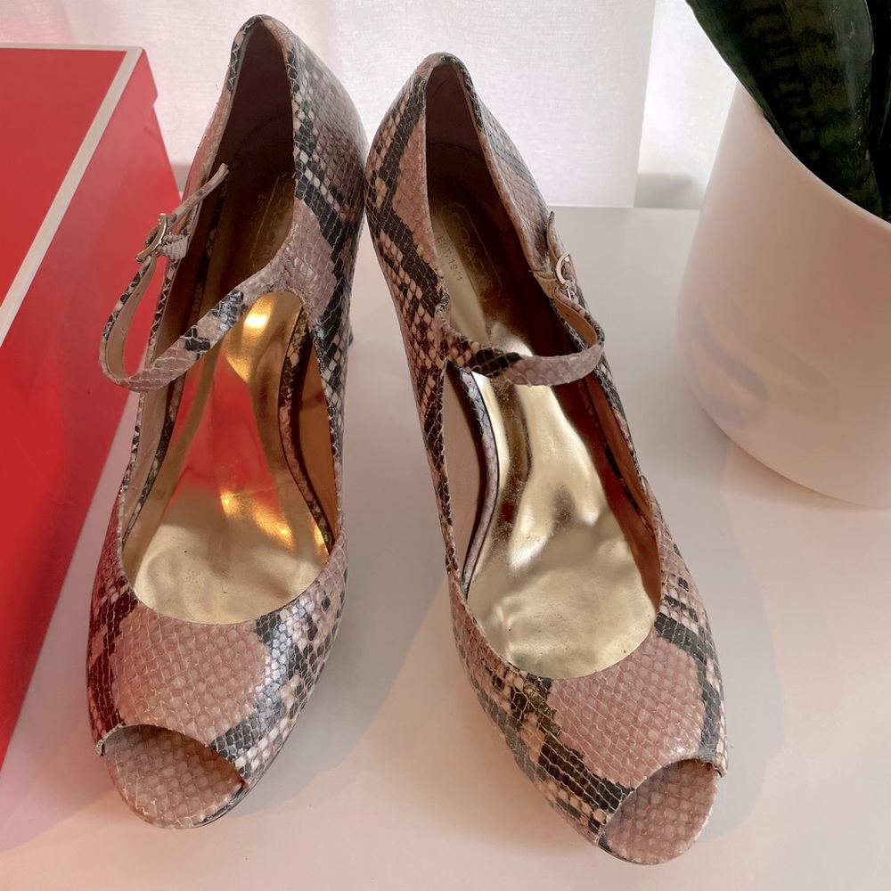 Coach Shawna Printed Snake Leather Heels